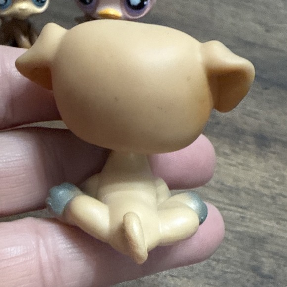 Hasbro LPS Littlest Pet Shop Animal Lot/9 Ostrich Owl Hedgehog Bird Monkey Dog - Picture 15 of 16